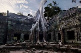 angkor-wat-templo-arbol-viajeindochina