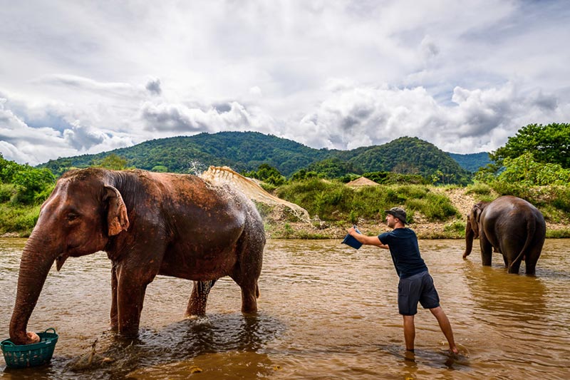 Elefantes no parque natural - Kanchanaburi - Visitar Tailândia