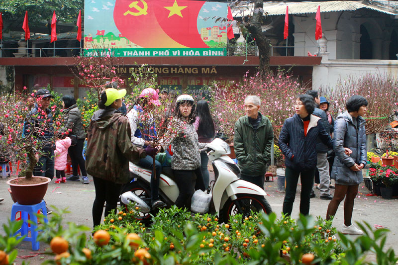 Mercado de flores en Vietnam Año Nuevo lunar