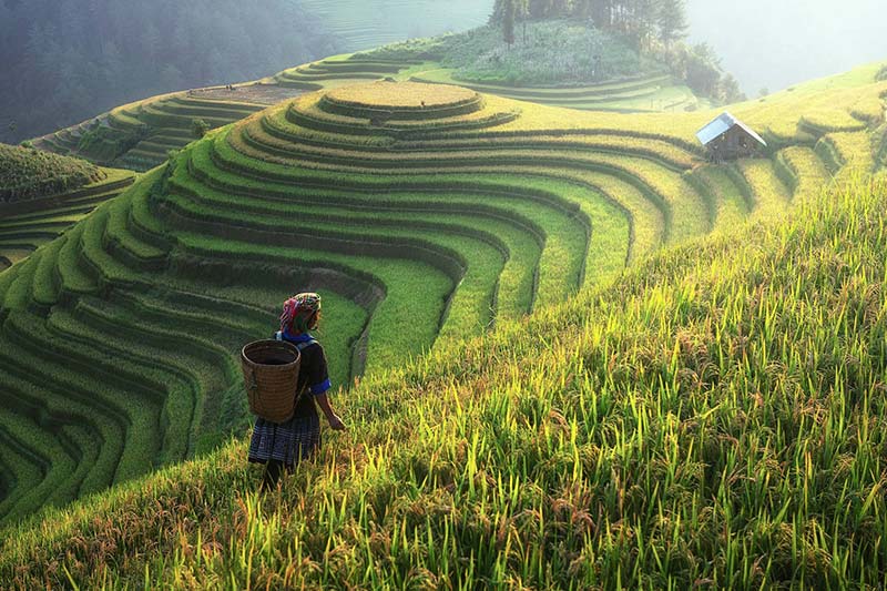 muong-hoa-valley-viajes-vietnam