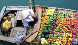 Mekong Delta