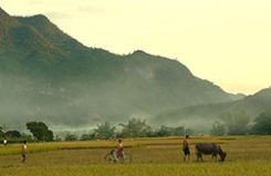 Mai Chau