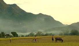 Mai Chau