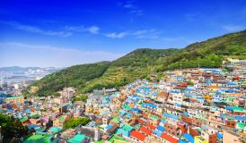 Busan