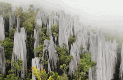 El Parque Nacional de Gunung Mulu