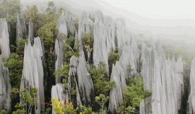 El Parque Nacional de Gunung Mulu