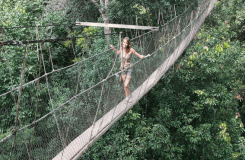 El Parque Nacional Taman Negara