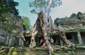 angkor-wat-templo-arbol-camboya-viajeindochina