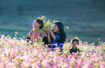 Viaje a Ha Giang con Viajeindochina: Guía para descubrir la majestuosidad del extremo norte de Vietnam