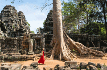 Visite Angkor Wat 3 días