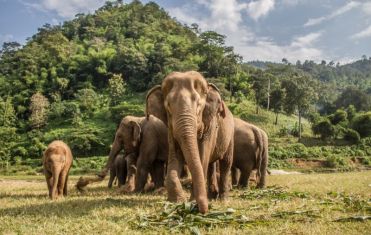 Aventura de 14 días por Tailandia, Singapur y Bali