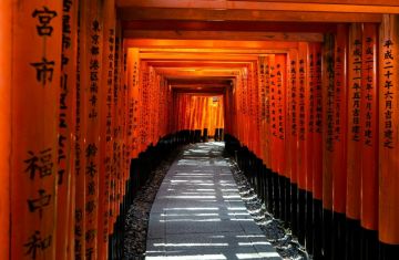 Descubrir Japón - La ruta dorada 15 días