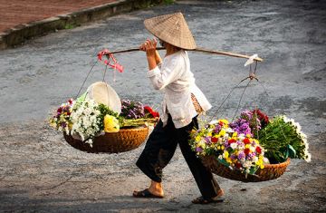 Vietnam de Norte y Centro 10 días