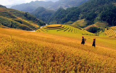 Descubra Vietnam, Camboya y Tailandia 15 días