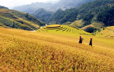 Descobrir Vietnã, Camboja e Tailândia 15 dias