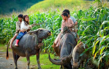 Mianmar - Vietnã - Camboja - Laos 23 dias