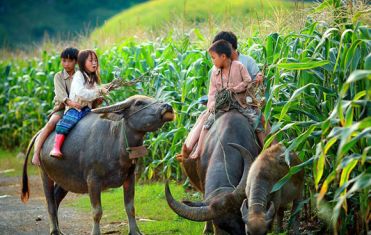 Mianmar - Vietnã - Camboja - Laos 23 dias