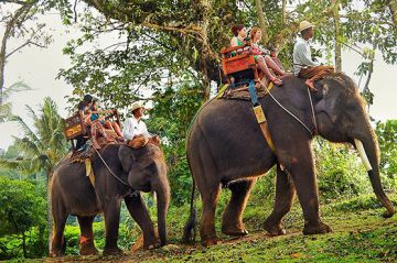 Bali con los elephantes 6 días