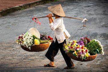 Vietnam de Norte y Centro 10 días