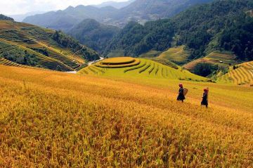 Descubra Vietnam, Camboya y Tailandia 15 días