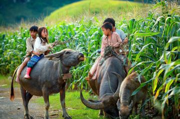 Mianmar - Vietnã - Camboja - Laos 23 dias