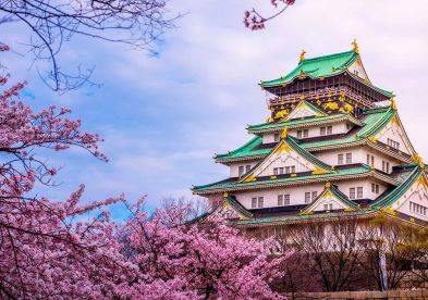 Viaje en grupo a Japón por 10 días 9 noches