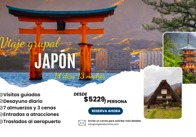 Viaje grupal a Japón por 14 días 13 noches