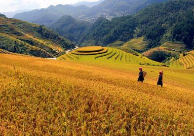 Descubra Vietnam, Camboya y Tailandia 15 días