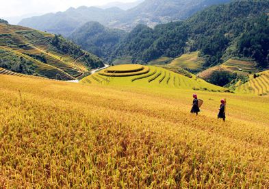 Descobrir Vietnã, Camboja e Tailândia 15 dias