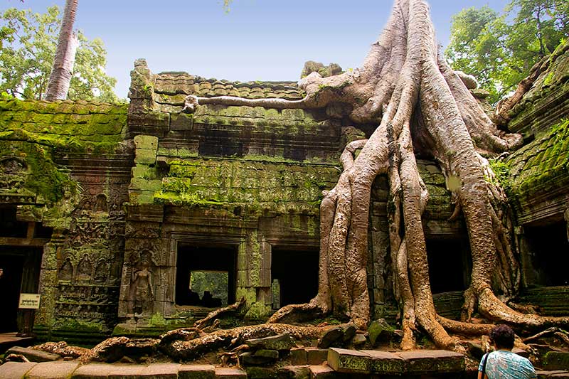 Visitar a Camboya, Templo de Ta Prohm