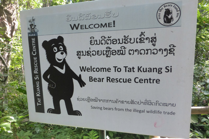 el centro de rescate de osos