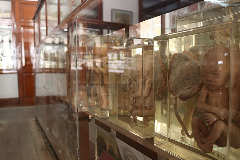 Visitar Bangkok - Museo de la Muerte