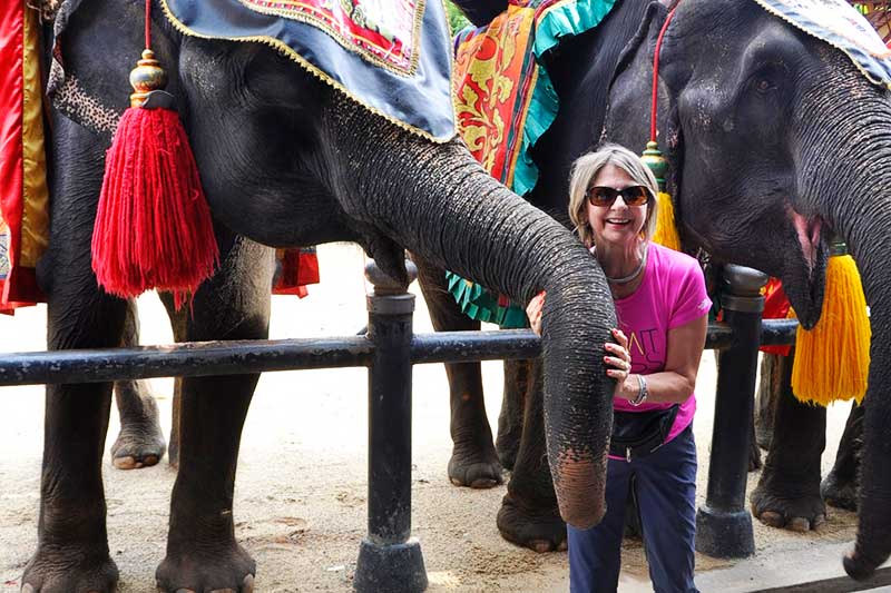 Viaje a Tailandia - Parque Natural Elefante