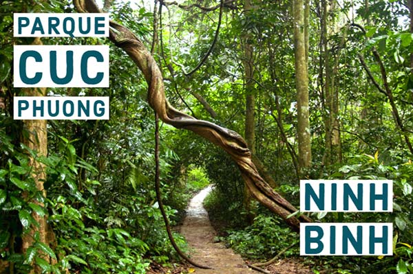 Parque Cuc Phuong - Ninh Binh
