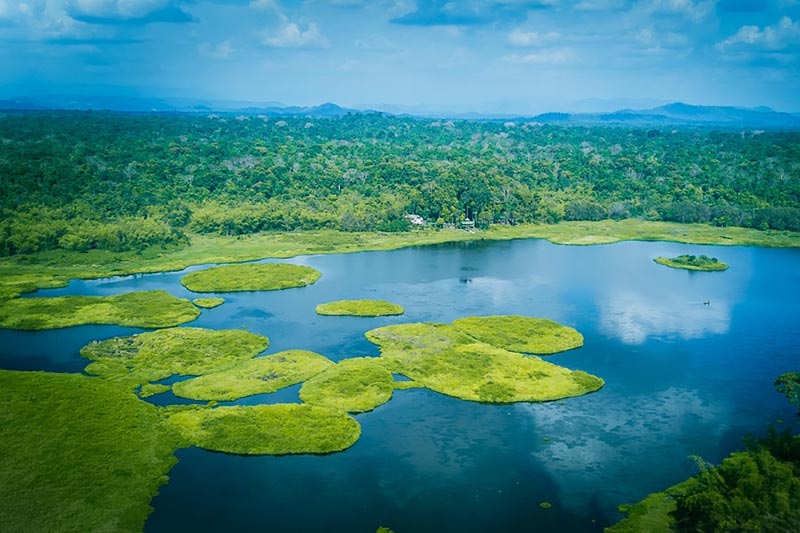 Los mejores parques nacionales en tu tour privado por Vietnam