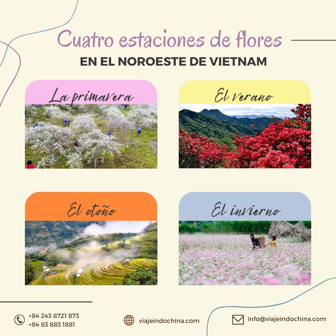 Four flower seasons in the Northwest of Vietnam