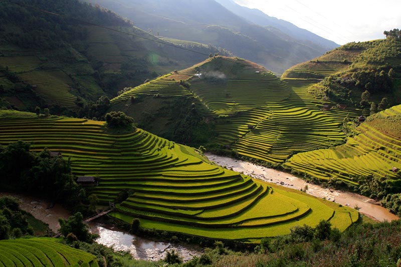 Dónde encontrar las increíbles terrazas de arroz en Vietnam