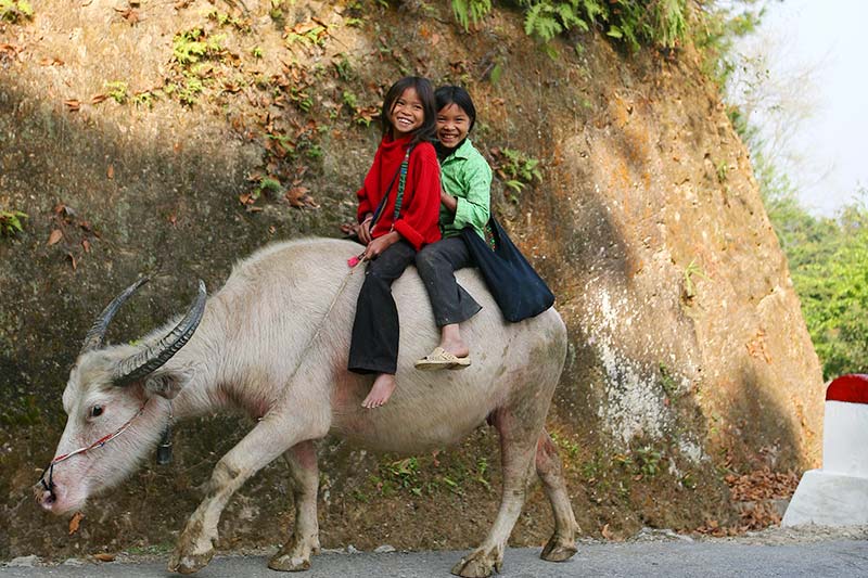 Niños en el norte de Vietnam Viajes