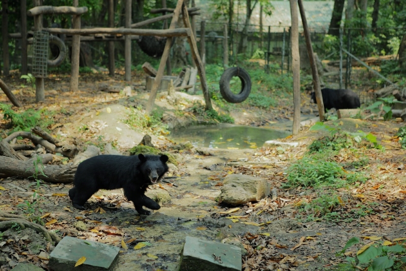 Centro de Rescate de Osos