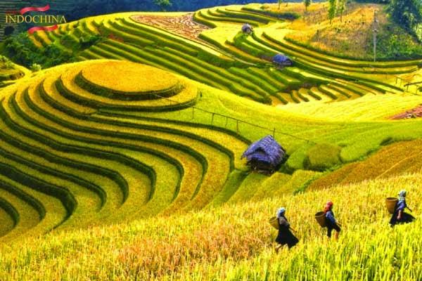 4e98 http://viajeindochina.com/
