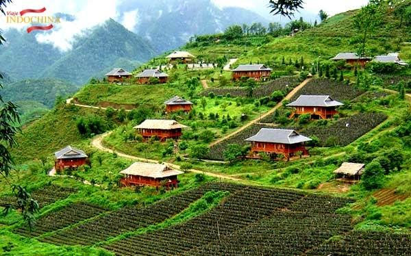 5e5c Sapa