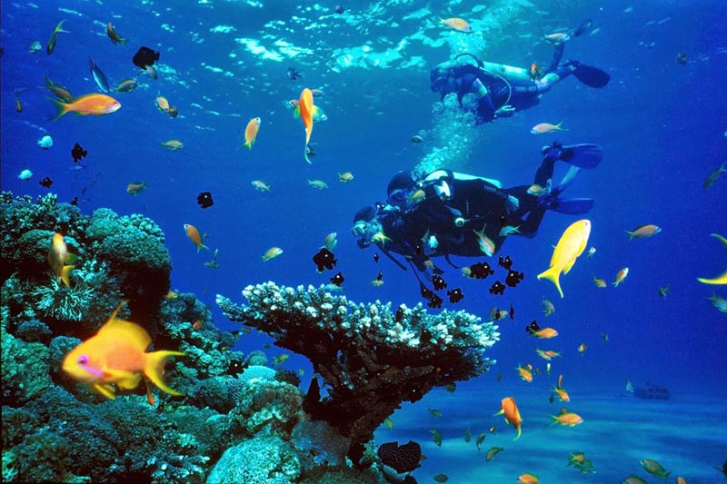 Buceo en Tailandia Buceo en Tailandia