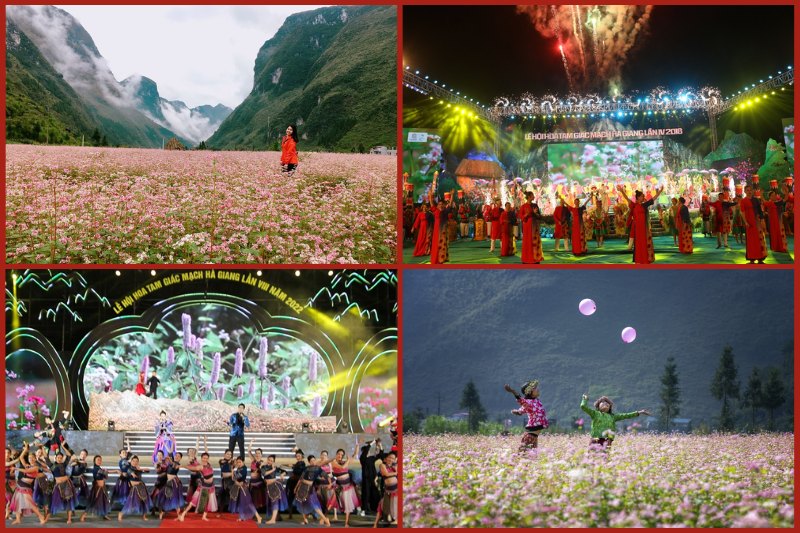 buckwheat20flower20festival20in20ha20giang Festival de las flores de trigo sarraceno en Ha Giang
