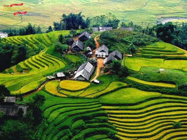 e566 http://viajeindochina.com/