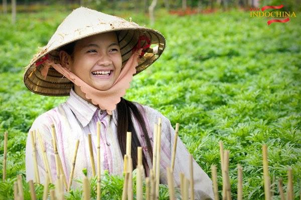 http://viajeindochina.com/tipo-de-tour/tours-en-vietnam/