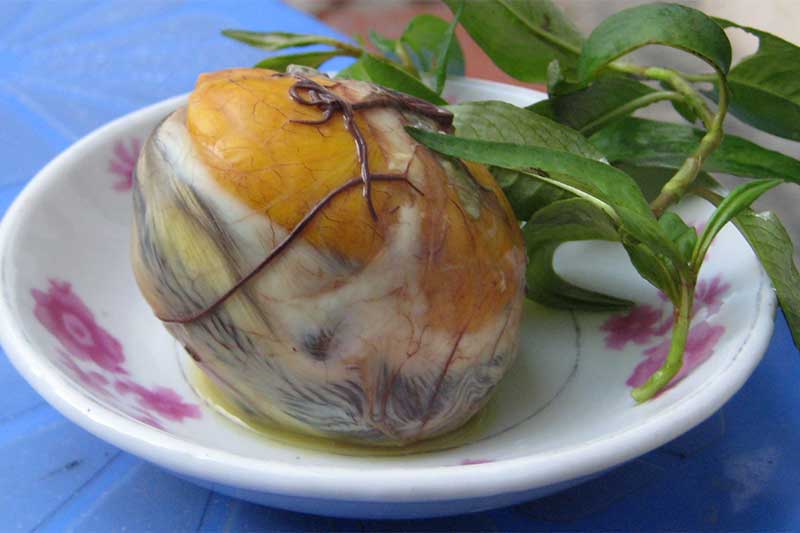 Comer un embrión de pato fertilizado y desarrollado.