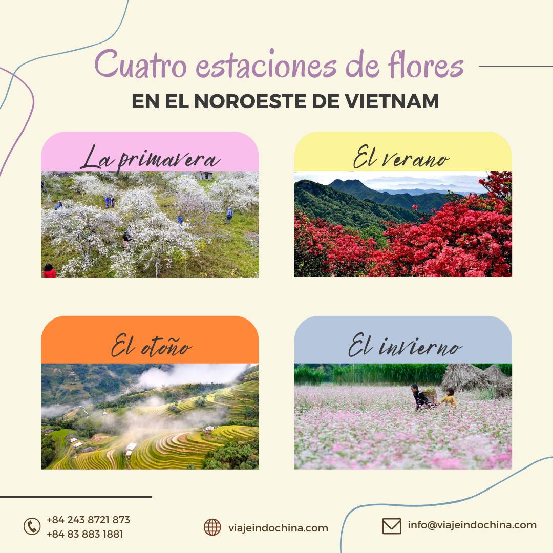 four20flower20seasons20tbn-20web Four flower seasons in the Northwest of Vietnam
