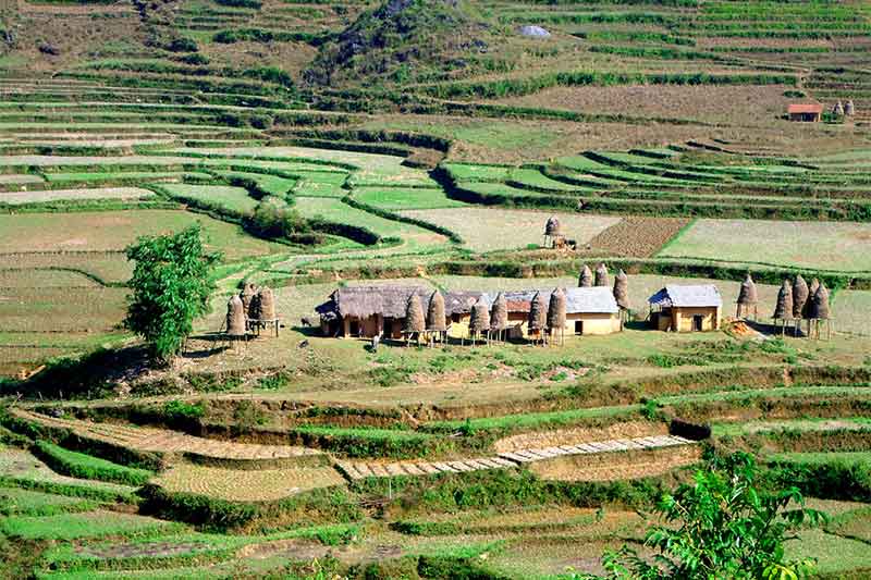 Terrazas de arroz en Ha Giang Terrazas de arroz en Ha Giang Vacaciones