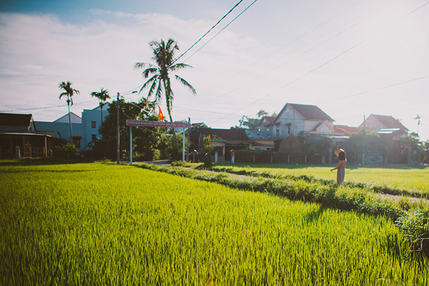 El campo de Hoi An