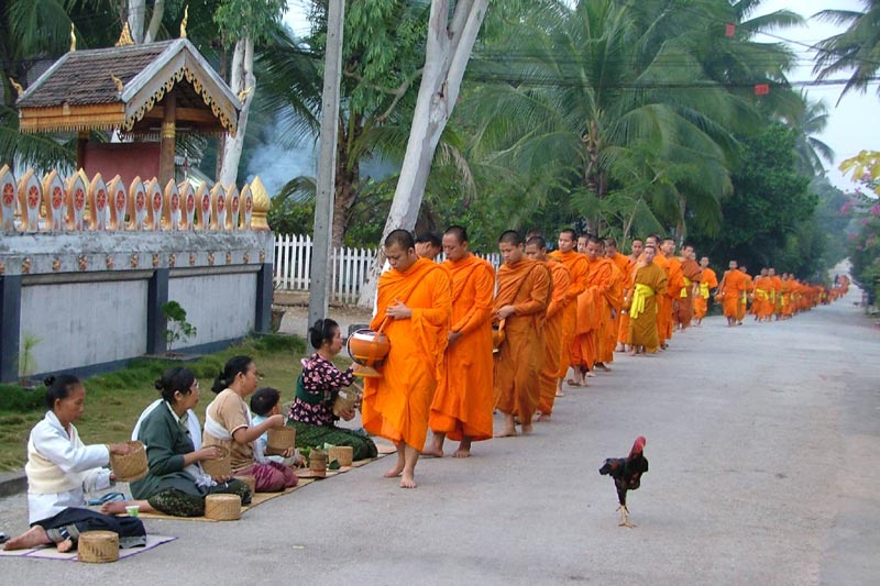 La ceremonia budista de limosna - Luang Prabang - Laos La ceremonia budista de limosna - Luang Prabang - Laos